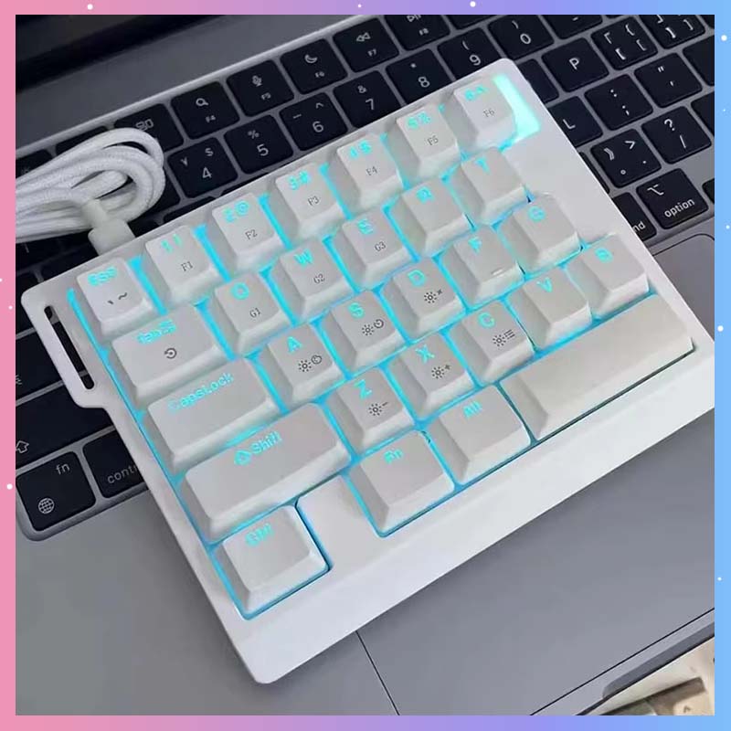 Gaming Esports Esports - HE30 メカニカルゲーミングキーボード 29キー 磁気スイッチ 8000HZ対応 マクロプログラミング